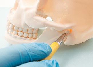 Model of jaw and skull bone to plan occlusal adjustment