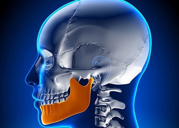 3D illustration of skull with jaw highlighted